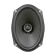 MOREL Maximo COAX 6 x 9