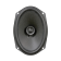MOREL MAXIMO COAX 6_9 no grill