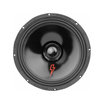 УРАЛ АС-МЛ250 Акустическая система МОЛНИЯ 25см (пара)