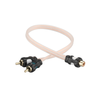 ASPECT-RCA-WL2M
