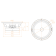 DL Audio Raven 165 V2 DL Audio Raven 165 V2