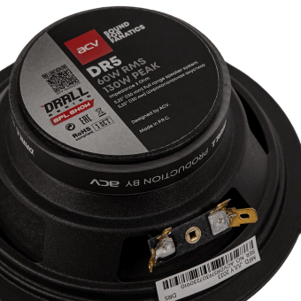 ACV DR5 DRALL эстрадная акустика 5.25