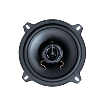 AMP MASS 502