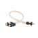 ASPECT-RCA-WL2F ASPECT-RCA-WL2F