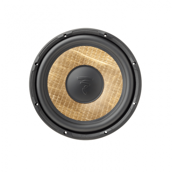 FOCAL Performance P 25 FSE   Сабвуферный динамик