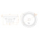 DL Audio Gryphon Pro 165 Neo