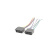 ACV AVS-811BG ACV AVS-811BG