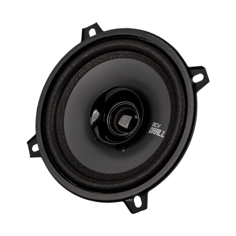 ACV DR5 DRALL эстрадная акустика 5.25