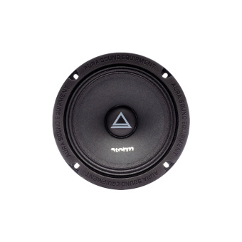 AURA STORM-65 эстрадная акустика