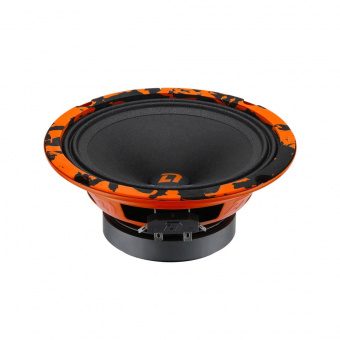 DL Audio Barracuda 165