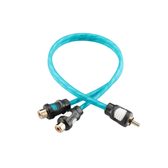 ASPECT-RCA-CL2F