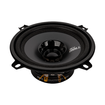 ACV DR5 DRALL эстрадная акустика 5.25