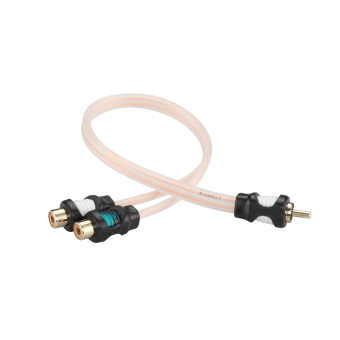 ASPECT-RCA-WL2F