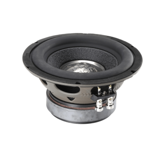 MOREL PRIMO 804