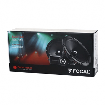 FOCAL AUDITOR RSE-165_1