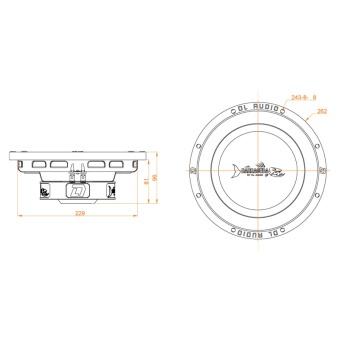 DL Audio Barracuda 10 Flat